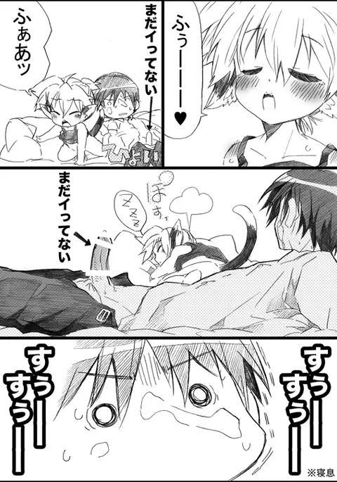 にゃんこのいる生活