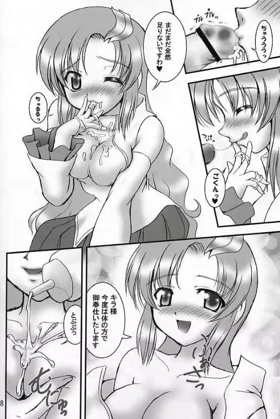 Gundam Seed - Gohoushi Club 3