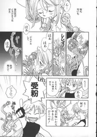 [Okano Ahiru] GARLAND gaarando