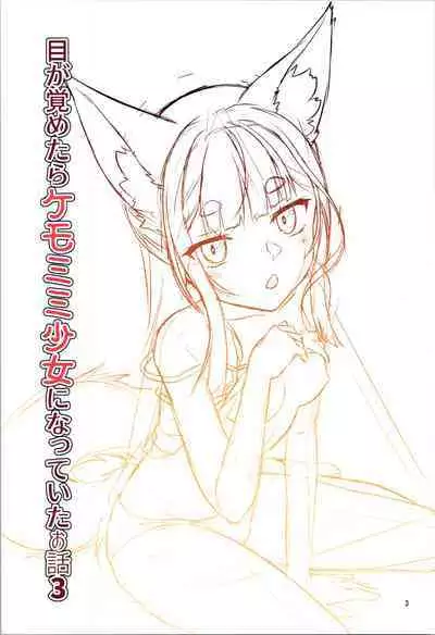 Me ga Sametara Kemomimi Shoujo ni Natteita Ohanashi 3