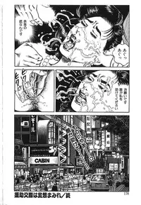 [Aoyama Kazumi] Kairaku Misesu no Uwaki na Nikutai