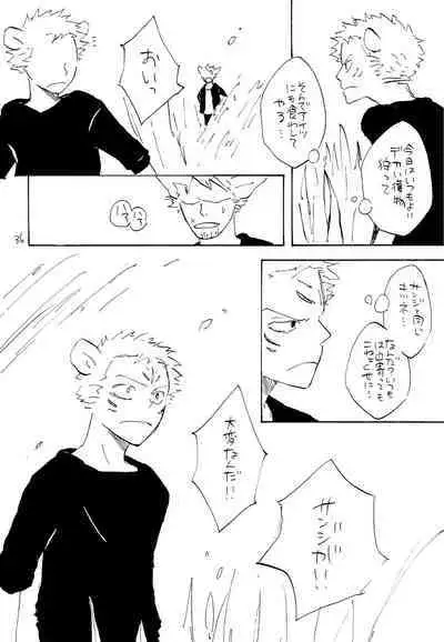 海の虹が沈む森