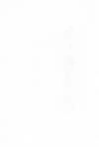 (SC32) [Apricot Sirup (Hi~mosu, Marui)] Ichigo Syrup. (Ichigo Mashimaro)