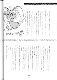 [System Gzzy] Tenchi Touraku DDT (Tenchi Muyou!)