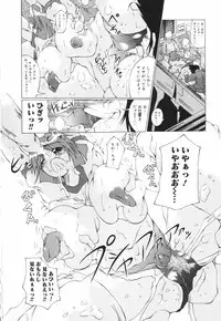 [Combat Echizen] Oneechan Bousou Tokkyuu!