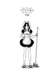 [Itoyoko] Mesu Neko - Maid Cats Story