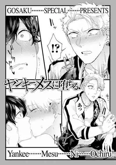 Yankee, Mesu ni Ochiru! | 不良雌堕!