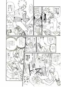 [IRIE YAMAZAKI] Princess File