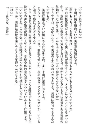 年上メイドの新婚日記