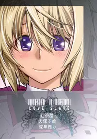 (C81) [Kouchaya (Ootsuka Kotora)] LOVE SLAVE (Infinite Stratos) [English] [VLtrans]