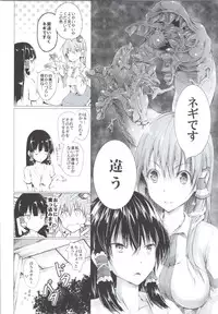 (COMIC1☆9) [Wada Mountain (Takashi)] God bless you (Touhou Project)