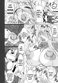 (C75) [Stratos] Bitches! (Ragnarok Online) [English][Shanko]