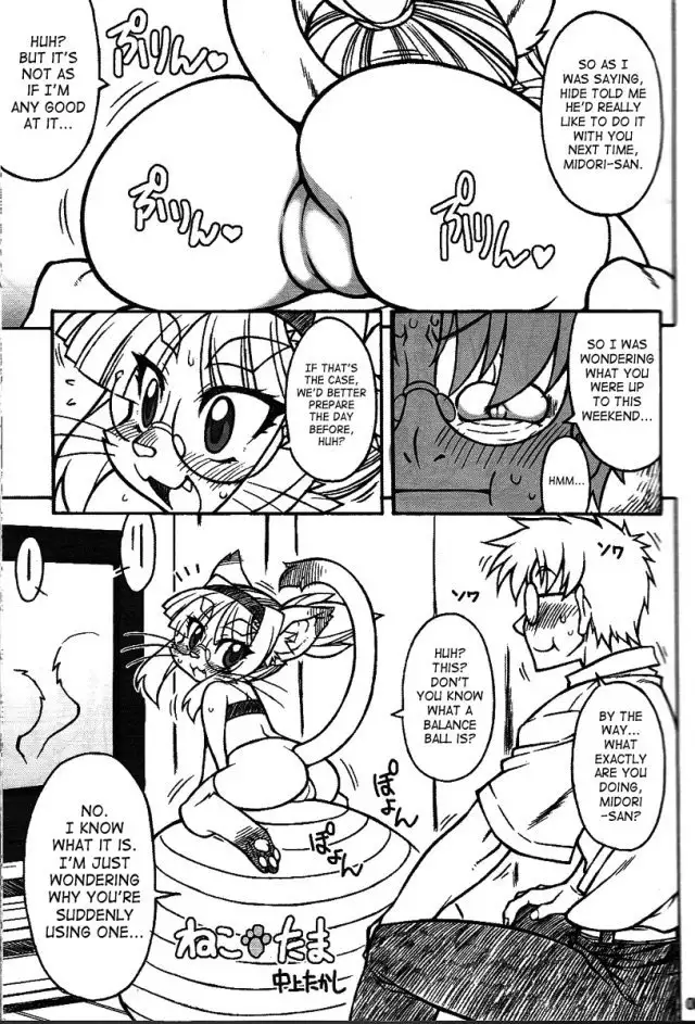 Midori's Neko Kano 2