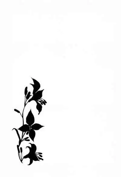 Hakase no Yoru no Joshu. Soushuuhen