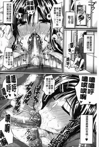 [Fue] フェラピュア[chinese]