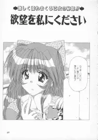 [Feena] Kinjirareta Oasobi