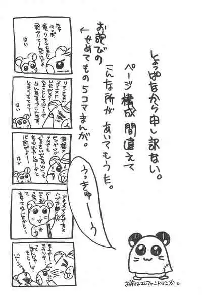 Tottoko Kana-chan! SKETCH MAP