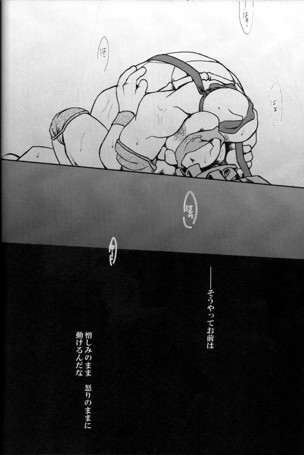FALLEN - Raph vs Leo - Teenage Mutant Ninja Turtles, TMNT doujinshi