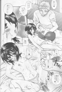 (C69) [PONCHEES (Kari) (Irohane Sui)] LionHeart (BLEACH)