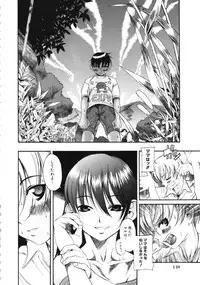 [Eromangaman] Kuwagata - The Stag Beetle