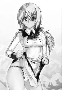 (C81) [Kouchaya (Ootsuka Kotora)] LOVE SLAVE (Infinite Stratos) [English] [VLtrans]