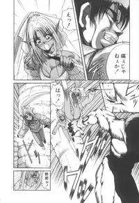 [Fujisaki Makoto] Dark Wirbel Konran-hen