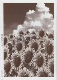 [minori] Natsuzora no Perseus Gouka-ban Omake Sasshi