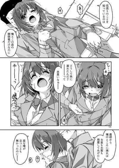 Rouka Soushuuhen - Tinkered Flower Perfect Collection