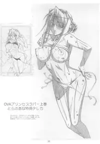 (C79) [SHIMAHOKKE (Kuroda Kazuya)] Shimahokke 13 (Princess Lover!, Akisora)