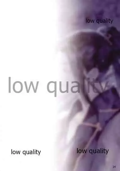 Fate/stay night Illust Shuu "Usuyami"