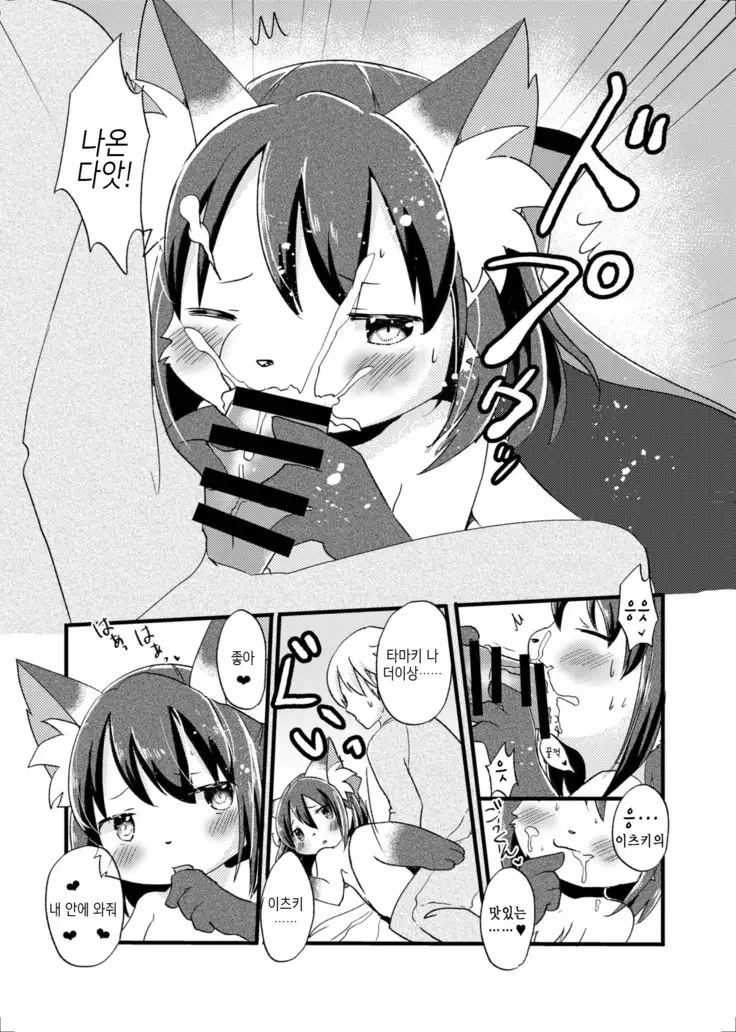 Nekomata no Tamaki-chan