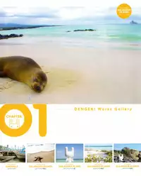 [Ryohka] Ryohka Gashuu Kurimi