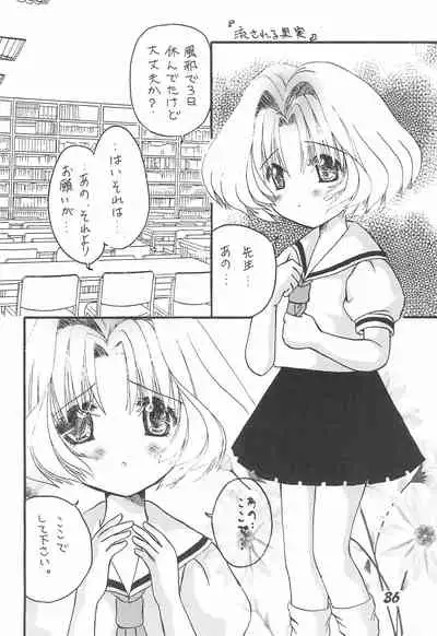 [Shinrin Ryokuju (Mint Green)] Rika-chan no Hon (Cardcaptor Sakura)