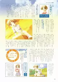 Canvas Visual Fan Book