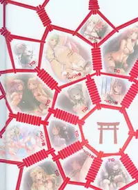 (C84) [Kyounetsuzanbun (TID, Paintmusume)] Touhou Kinbakuroku San (Touhou Project)