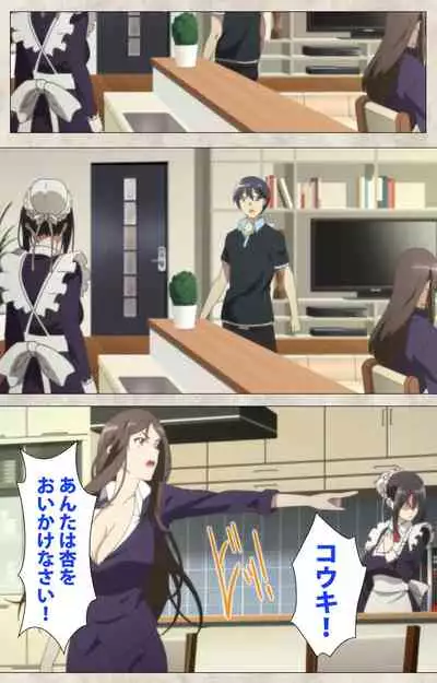 Ane Yome Quartet Kanzenban