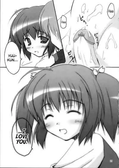 Illusion Lover
