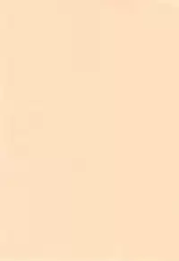 (C92) [Yorando (Sugi G)] CONDENSED WIFE [Chinese] [丧尸汉化]