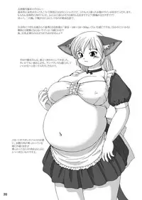 (C64) [Aa, Warera Katou Hayabusa Sentoutai (Katou)] Maru-Maru | Maru2 [English]