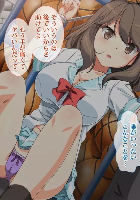 Flesh Holes That Can't Resist ~Schoolgirls Bound At Night~