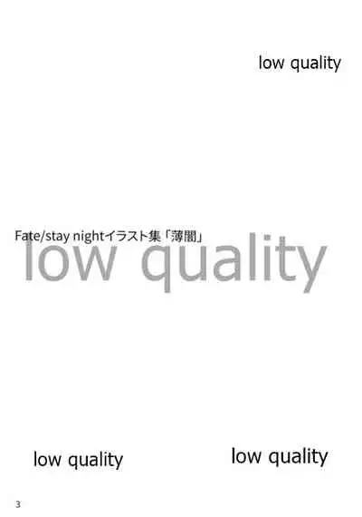 Fate/stay night Illust Shuu "Usuyami"