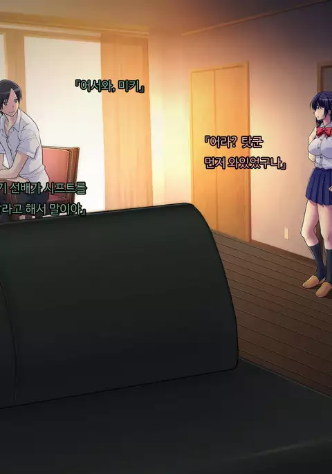 ani sex > otouto sex