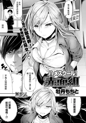 Saddle School Blush Group (decensored)