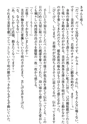 年上メイドの新婚日記