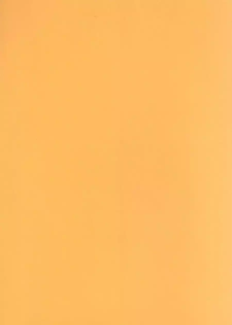 First - Yuri on Ice dj