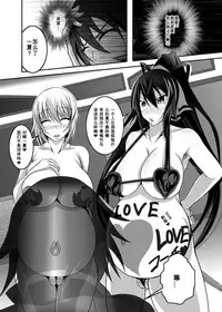 [Bitch Bokujou (Bokujou Nushi K)] GIRLS MEET DQN'S TINPO (IS <Infinite Stratos>) [Chinese] [百合勿忘草个人汉化] [Digital]