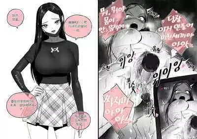 Collection（个人汉化）