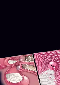 [Studio Mizuyokan (Higashitotsuka Rai Suta)] SMILE PARTY DL (Smile Precure!) [Digital]