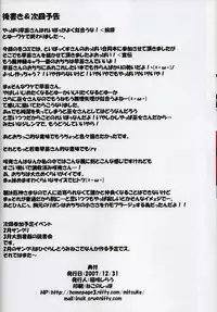 (C73) [Schwester (Shirau Inasaki) Rollin 27 (Touhou Project)