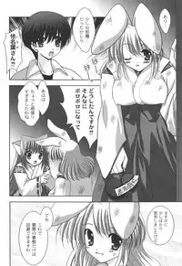 [Shikigami Azuma] Nichoume no Nekogamisama